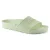 Faded Lime