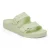 Faded Lime