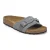 Basalt Gray