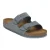 Basalt Gray