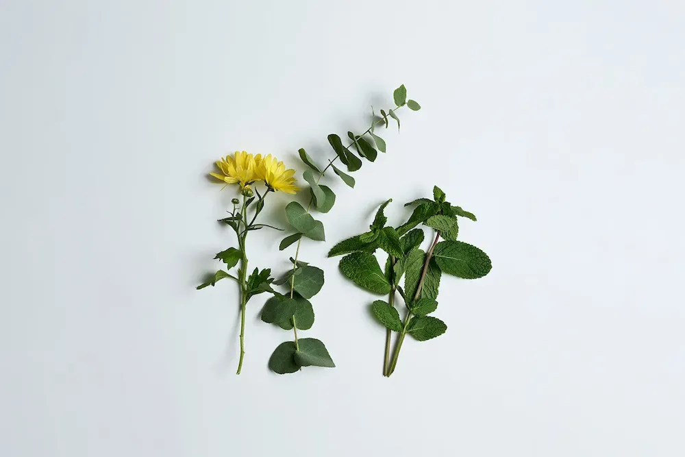 Relief Lotion Tired Leg and Foot Multi