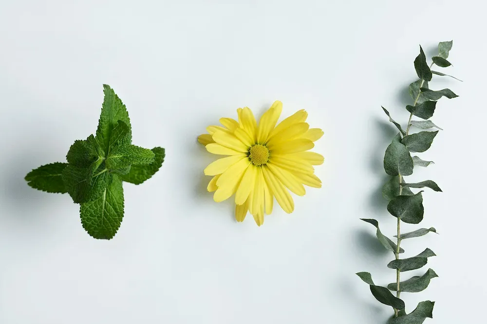 Relief Lotion Tired Leg and Foot Multi